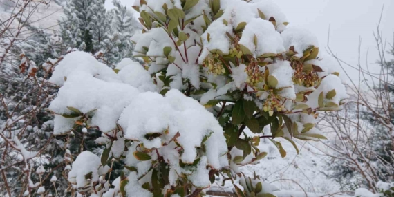 Pütürge’nin Eşsiz Güzellikleri: Kartpostallık Manzaralar