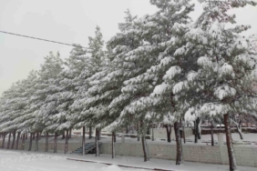 sasonda-etkileyici-kar-yagisi-hayat-durma-noktasina-geldi-nkA4buAG.jpg