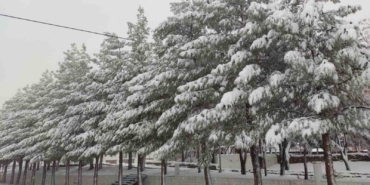 sasonda-etkileyici-kar-yagisi-hayat-durma-noktasina-geldi-nkA4buAG.jpg