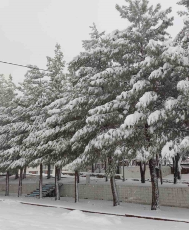 sasonda-etkileyici-kar-yagisi-hayat-durma-noktasina-geldi-nkA4buAG.jpg