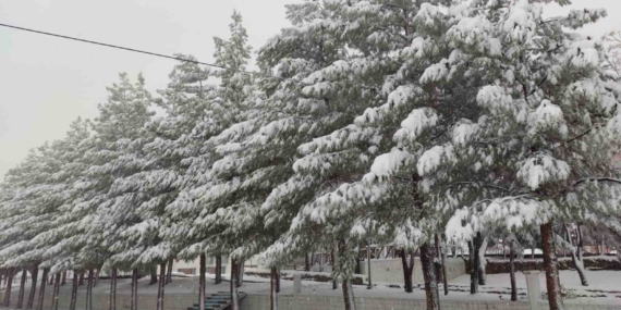 Sason’da Etkileyici Kar Yağışı: Hayat Durma Noktasına Geldi