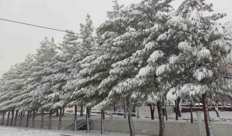 sasonda-etkileyici-kar-yagisi-hayat-durma-noktasina-geldi-nkA4buAG.jpg