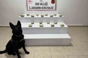 baskalede-20-kilo-250-gram-esrar-maddesi-ele-gecirildi-8FuhFdK9.jpg