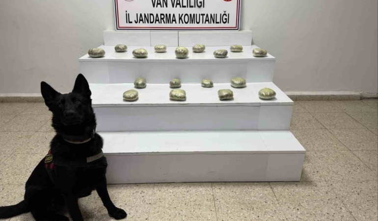 baskalede-20-kilo-250-gram-esrar-maddesi-ele-gecirildi-8FuhFdK9.jpg