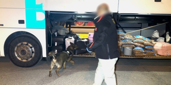 Batman’da Narkotik Köpeği Hector, Uyuşturucu Tacirlerinin Planlarını Bozdu