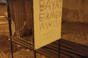 cermikte-israfi-onlemek-icin-yenilikci-bayat-ekmek-dolabi-uygulamasi-4REPYUU5.jpg