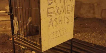 cermikte-israfi-onlemek-icin-yenilikci-bayat-ekmek-dolabi-uygulamasi-4REPYUU5.jpg