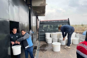 diyarbakirda-460-kilogram-peynir-imha-edildi-5-isletmeye-ceza-Sx9jJUiO.jpg