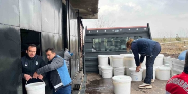 diyarbakirda-460-kilogram-peynir-imha-edildi-5-isletmeye-ceza-Sx9jJUiO.jpg