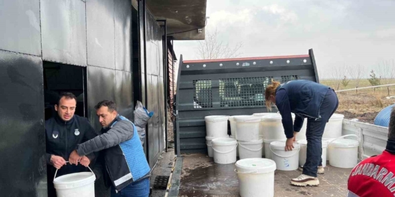 Diyarbakır’da 460 Kilogram Peynir İmha Edildi: 5 İşletmeye Ceza!