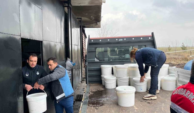 diyarbakirda-460-kilogram-peynir-imha-edildi-5-isletmeye-ceza-Sx9jJUiO.jpg