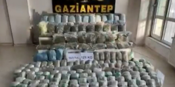 Gaziantep’te Yüzlerce Kilogram Skunk Ele Ge geçirildi, Tutuklama Gerçekleşti