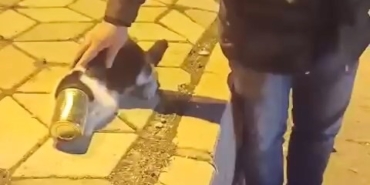 konserve-kutusuna-sikisan-tuy-yumagi-kedi-kurtarildi-3KktlmPw.jpg