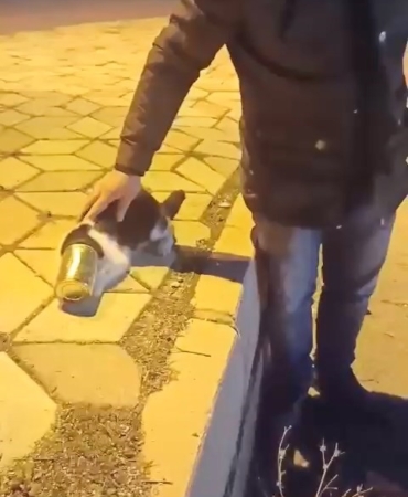 konserve-kutusuna-sikisan-tuy-yumagi-kedi-kurtarildi-3KktlmPw.jpg