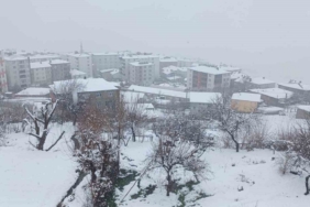 kulpta-kar-yagisi-hayati-etkiledi-ilce-beyaz-bir-kardeslige-burundu-51WUEpQp.jpg