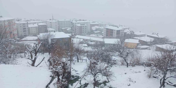 Kulp’ta Kar Yağışı Hayatı Etkiledi, İlçe Beyaz Bir Kardeşliğe Büründü