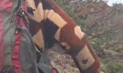 Kuş Gözlemi Yaparken Ayı ile Yüz Yüze Gelen Adamın Korku Dolu Anları Kamerada