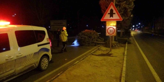 Malatya’da Fırtına Ağaçları Kökünden Sökerek Zarar Verdi