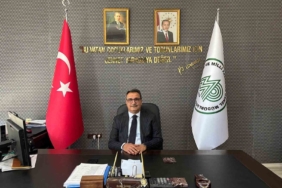 sulak-alanlar-hayatin-sigortasi-rolu-ve-onemi-KOQBWCqi.jpg