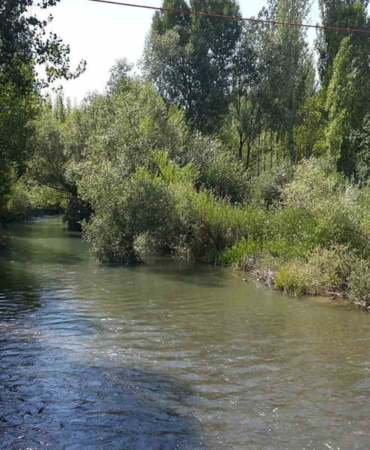 tohma-cayinin-ekolojik-sagligi-bilimsel-olarak-kanitlandi-NWy7nlus.jpg