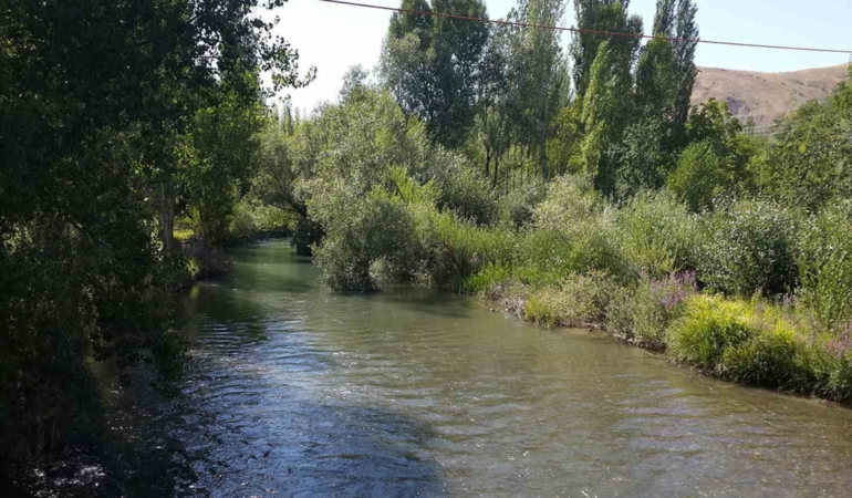 tohma-cayinin-ekolojik-sagligi-bilimsel-olarak-kanitlandi-NWy7nlus.jpg
