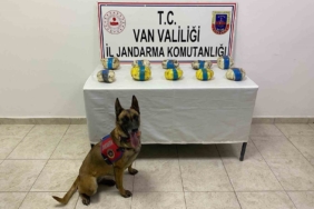 tusbada-11-kilogram-metamfetamin-operasyonu-PvLLqzgm.jpg