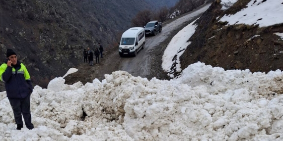Çatak’ta Çığ Felaketi: 1 Mahalle ve 8 Mezraya Erişim Kesildi