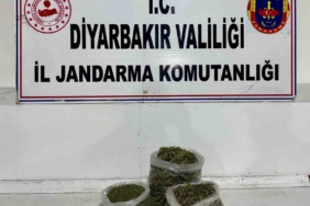 diyarbakirda-14-kilogram-esrar-operasyonu-tc5zEgnE.jpg