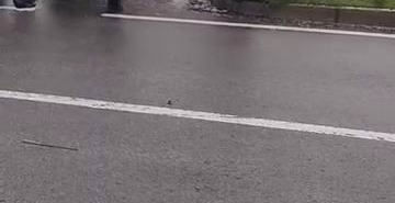 diyarbakirda-trafik-kazasi-arac-refuje-carparak-duran-kaza-detaylari-5LLruDpC.jpg
