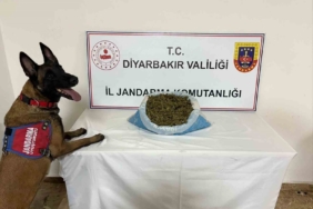 diyarbakirda-uyusturucu-operasyonunda-14-sahis-gozaltina-alindi-YKRQkdG9.jpg
