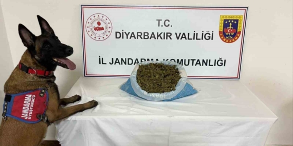Diyarbakır’da Uyuşturucu Operasyonunda 14 Şahıs Gözaltına Alındı
