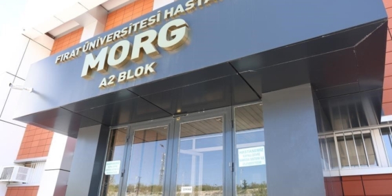 Elazığ’da Motosiklet Çarpması Sonucu Yaya Hayatını Kaybetti