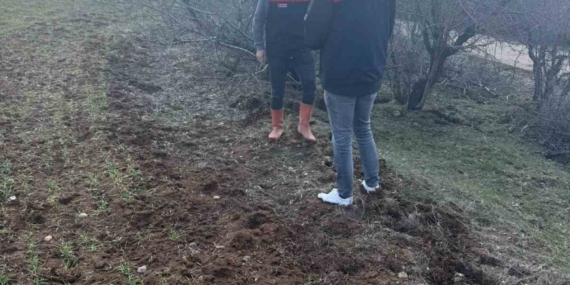 Elazığ’da Tarla Faresi Sürvey Çalışması: Yenilikçi Yaklaşımlar