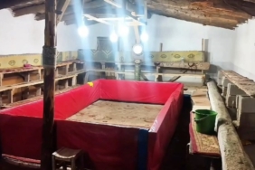 musta-horoz-dovusu-yapan-23-kisiye-ceza-verildi-EaGw5ivz.jpg