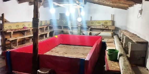 Muş’ta Horoz Dövüşü Yapan 23 Kişiye Ceza Verildi