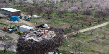 sadik-misafir-leylek-10-yildir-yolunu-hic-kaybetmiyor-JwBEjMEA.jpg