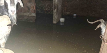 sel-felaketi-ekipler-tarafindan-kurtarilan-12-keci-6cZ65Me3.jpg