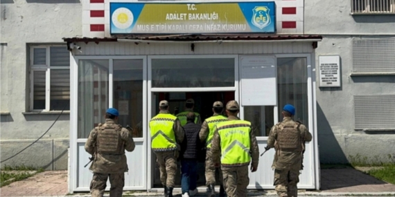 30 Yıl Hapis Cezası Olan Şahıs Muş’ta Ele Geçirildi