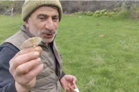 diyarbakir-kirsalinda-mantar-avi-toplama-sezonu-basladi-wHuVdBz7.jpg