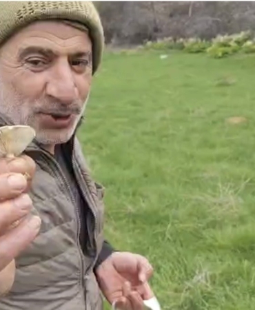 diyarbakir-kirsalinda-mantar-avi-toplama-sezonu-basladi-wHuVdBz7.jpg