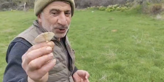 Diyarbakır Kırsalında Mantar Avı: Toplama Sezonu Başladı