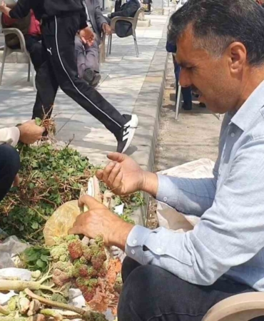 elazigda-bahar-otlari-tezgahlarda-yerini-aldi-taze-lezzetler-CCUSuSrN.jpg