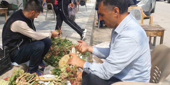 Elazığ’da Bahar Otları Tezgahlarda Yerini Aldı – Taze Lezzetler