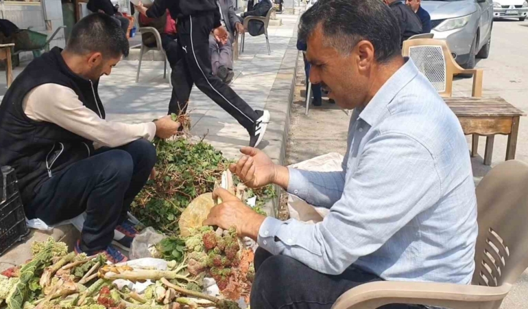 elazigda-bahar-otlari-tezgahlarda-yerini-aldi-taze-lezzetler-CCUSuSrN.jpg