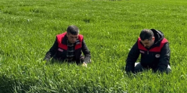 elazigda-hububat-ureticilerine-kok-ve-kok-bogazi-hastaligi-uyarisi-FMBJXuMy.jpg