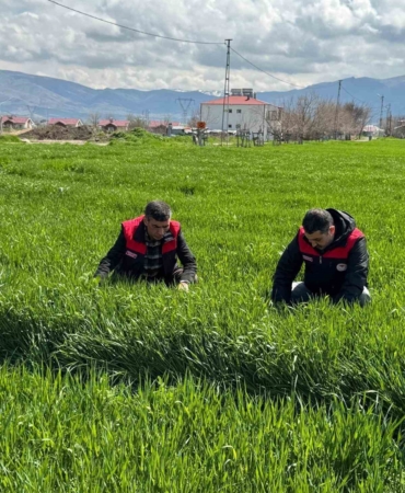 elazigda-hububat-ureticilerine-kok-ve-kok-bogazi-hastaligi-uyarisi-FMBJXuMy.jpg