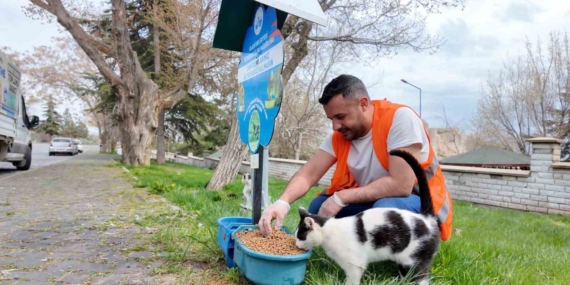 Elazığ’da Sokak Hayvanlarına Sürekli Mama Desteği