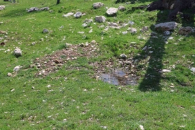 gulistan-dokunun-gomuldugu-iddia-edilen-yer-havadan-goruntulendi-r1BanUXc.jpg