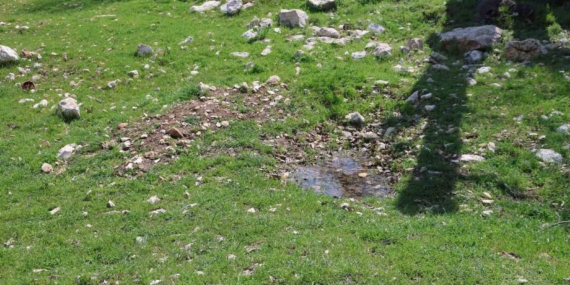Gülistan Doku’nun Gömüldüğü İddia Edilen Yer Havadan Görüntülendi