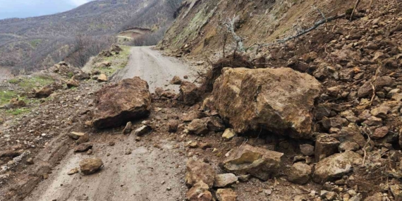 Karakoçan’da Toprak Kayması: Doğa Olaylarının Etkileri